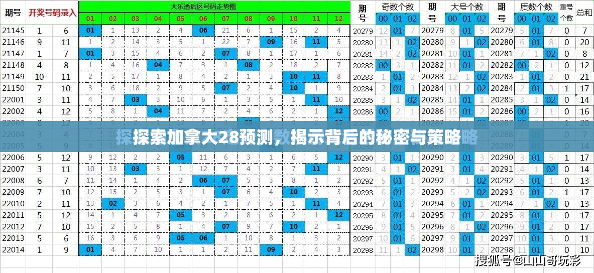 探索加拿大28预测，揭示背后的秘密与策略