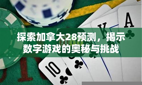 探索加拿大28预测，揭示数字游戏的奥秘与挑战