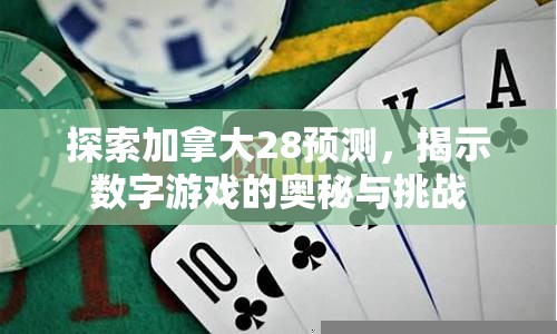 探索加拿大28预测，揭示数字游戏的奥秘与挑战