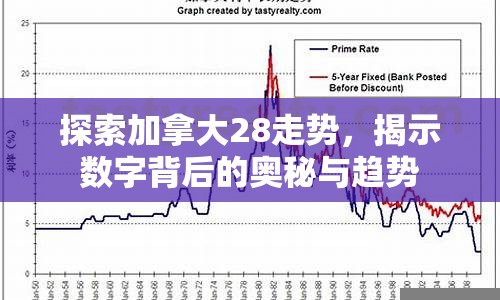 探索加拿大28走势，揭示数字背后的奥秘与趋势