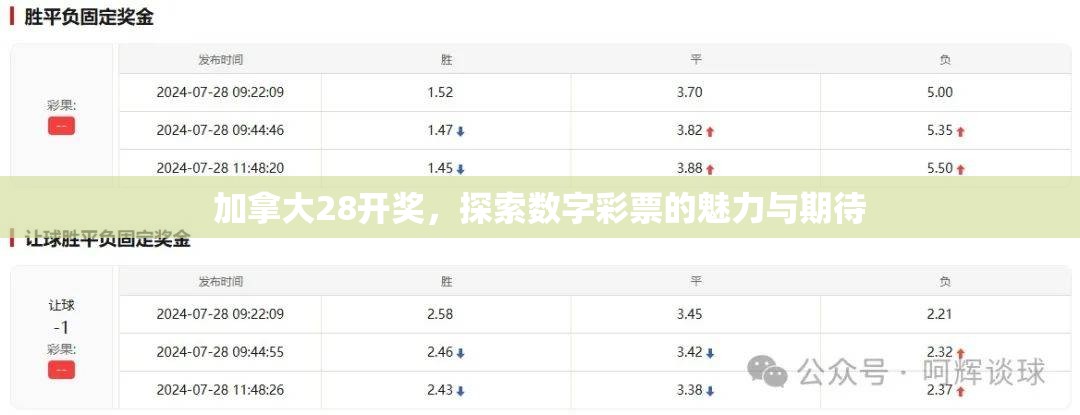 加拿大28开奖，探索数字彩票的魅力与期待