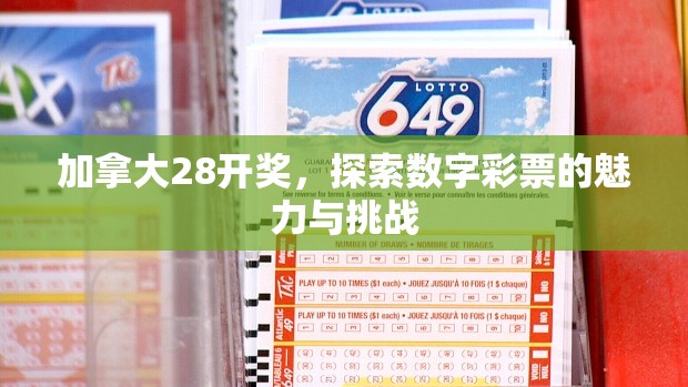 加拿大28开奖，探索数字彩票的魅力与挑战