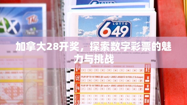 加拿大28开奖，探索数字彩票的魅力与挑战