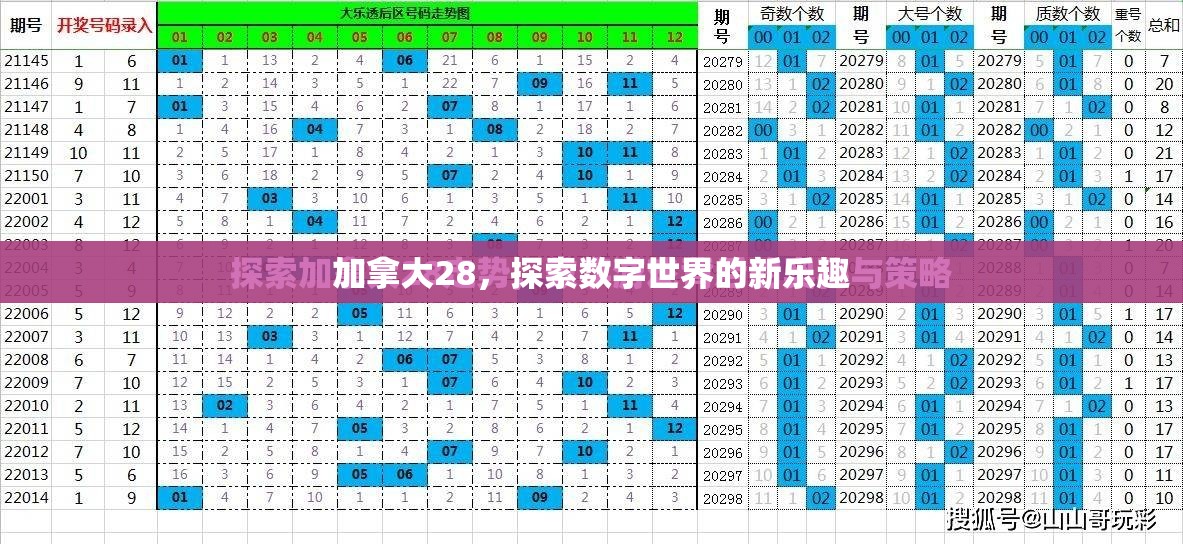 加拿大28，探索数字世界的新乐趣