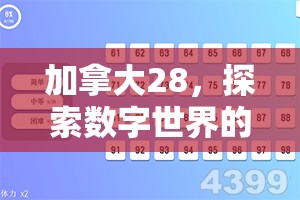 加拿大28，探索数字世界的新乐趣