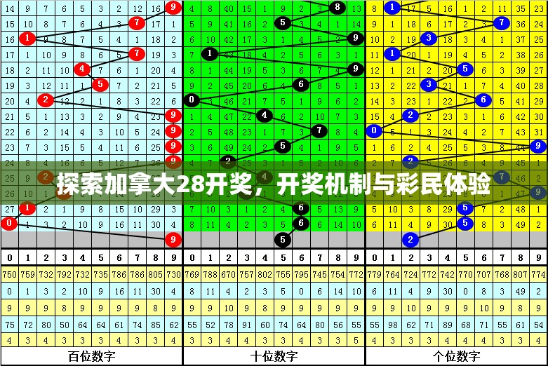 探索加拿大28开奖，开奖机制与彩民体验