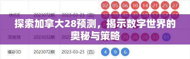 探索加拿大28预测，揭示数字世界的奥秘与策略