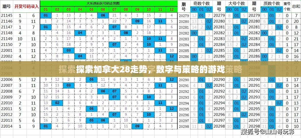 探索加拿大28走势，数字与策略的游戏