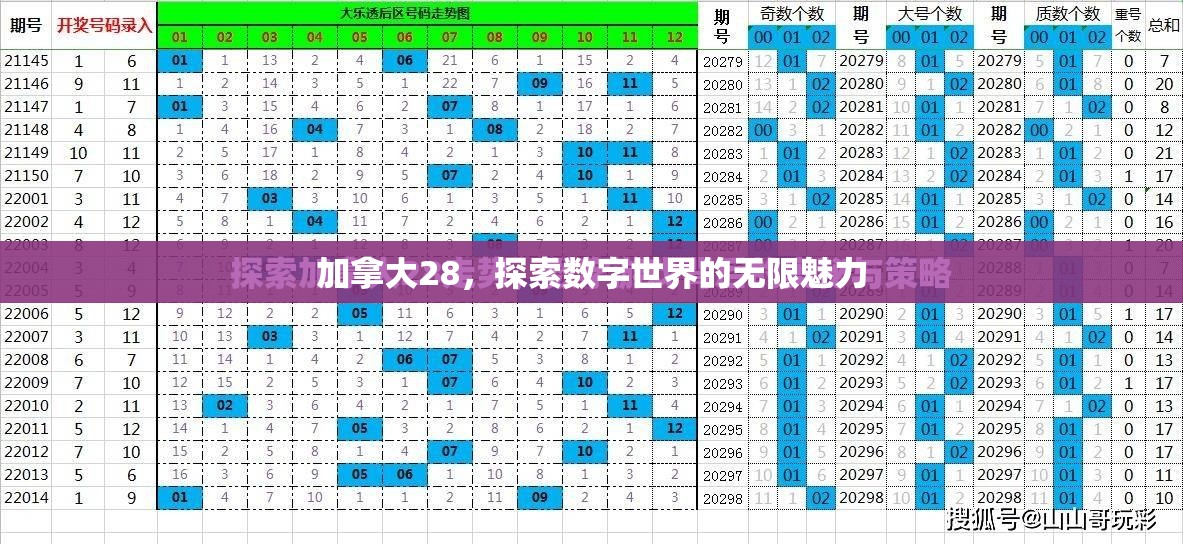 加拿大28，探索数字世界的无限魅力