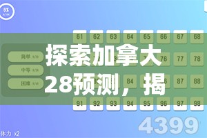 探索加拿大28预测，揭示数字背后的奥秘