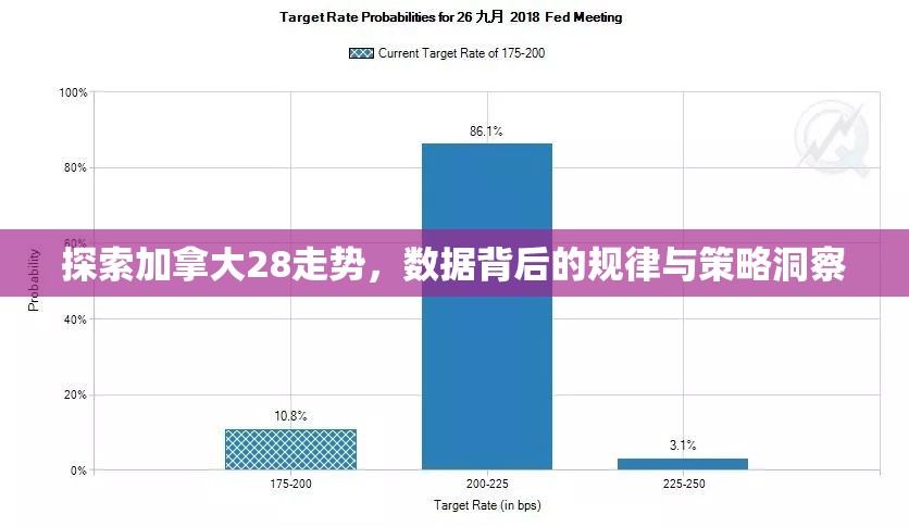 探索加拿大28走势，数据背后的规律与策略洞察